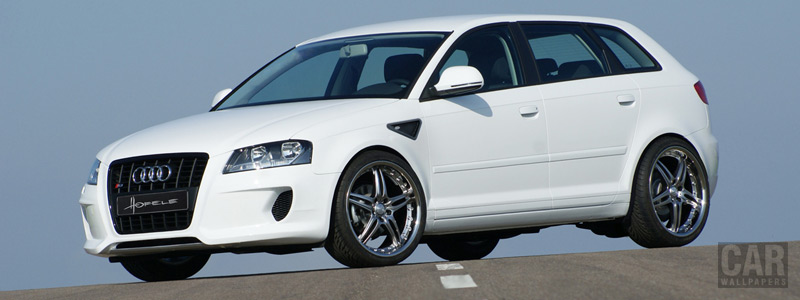 Car tuning wallpapers Hofele Audi S3 8PA - Car wallpapers