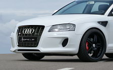 Car tuning wallpapers Hofele Audi S3 8PA